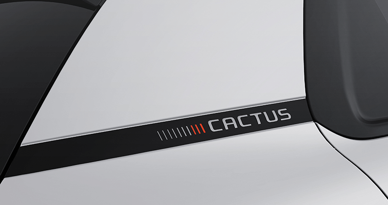 C4 CACTUS 2023 FEEL MY23
